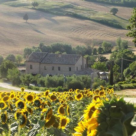 "La Casa Degli Ulivi Art B&B" Trecastelli Exteriér fotografie