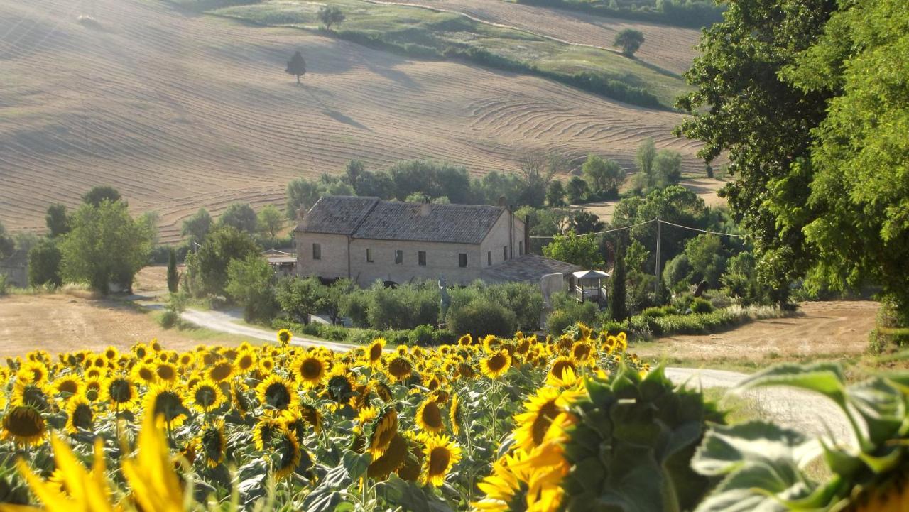 "La Casa Degli Ulivi Art B&B" Trecastelli Exteriér fotografie