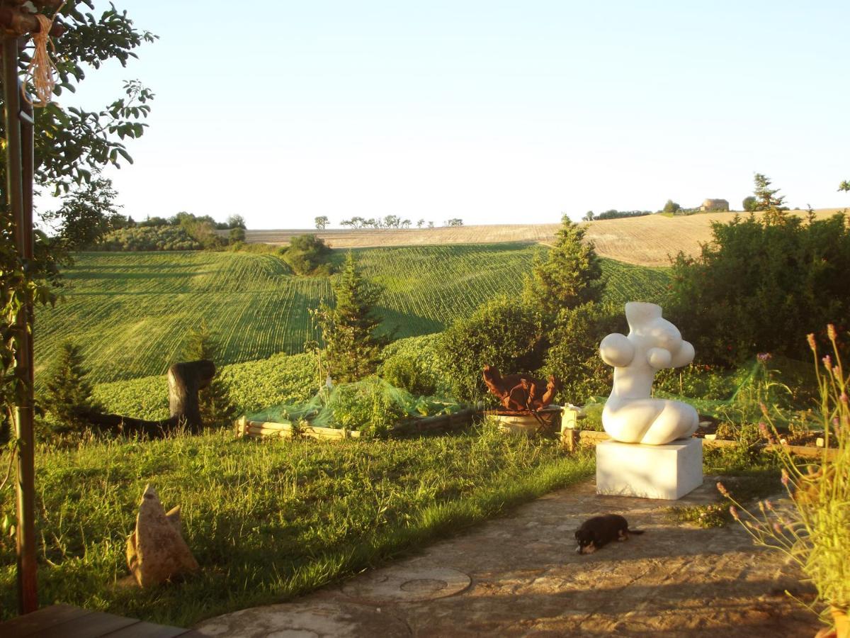 "La Casa Degli Ulivi Art B&B" Trecastelli Exteriér fotografie