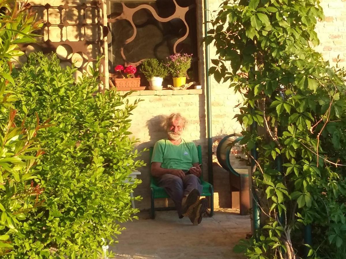 "La Casa Degli Ulivi Art B&B" Trecastelli Exteriér fotografie
